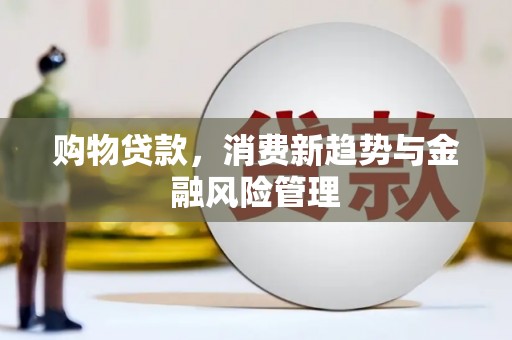 梧州购物贷款，消费新趋势与金融风险管理