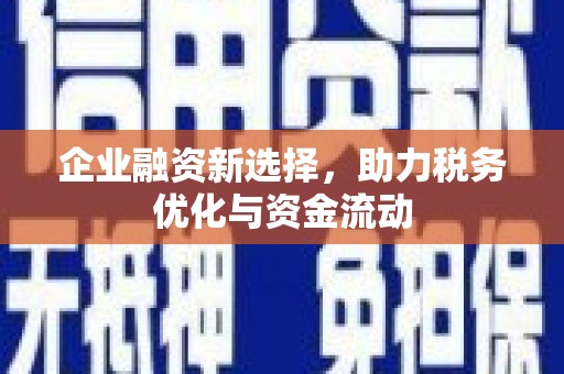 梧州企业融资新选择，助力税务优化与资金流动