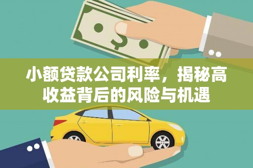 梧州小额贷款公司利率，揭秘高收益背后的风险与机遇