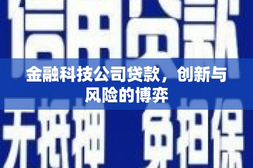 梧州金融科技公司贷款，创新与风险的博弈