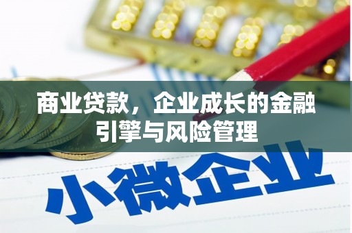 梧州商业贷款，企业成长的金融引擎与风险管理