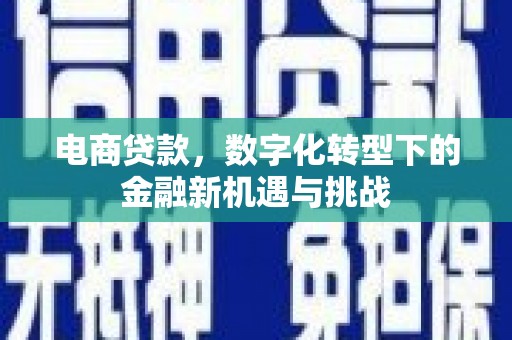 梧州电商贷款，数字化转型下的金融新机遇与挑战