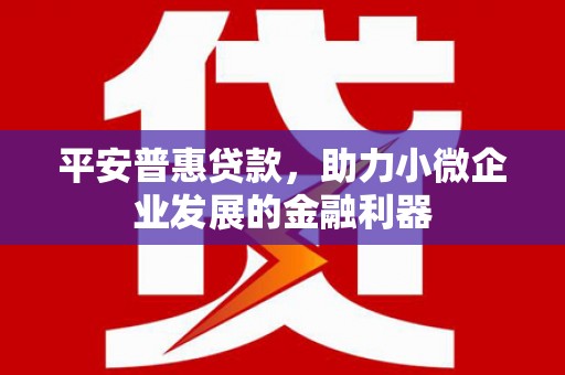 梧州平安普惠贷款，助力小微企业发展的金融利器