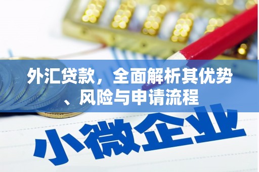 梧州外汇贷款，全面解析其优势、风险与申请流程