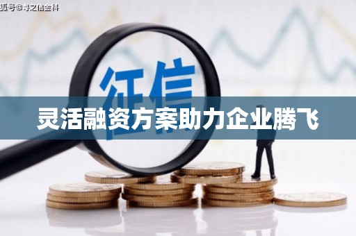 梧州灵活融资方案助力企业腾飞