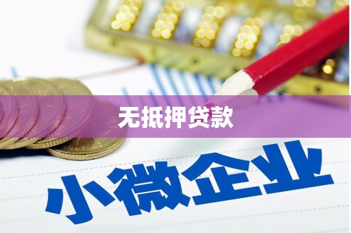 梧州无抵押贷款