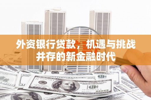 梧州外资银行贷款，机遇与挑战并存的新金融时代