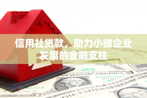 梧州信用社贷款，助力小微企业发展的金融支柱