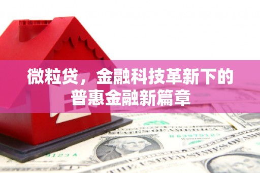 梧州微粒贷，金融科技革新下的普惠金融新篇章