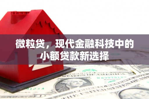 梧州微粒贷，现代金融科技中的小额贷款新选择