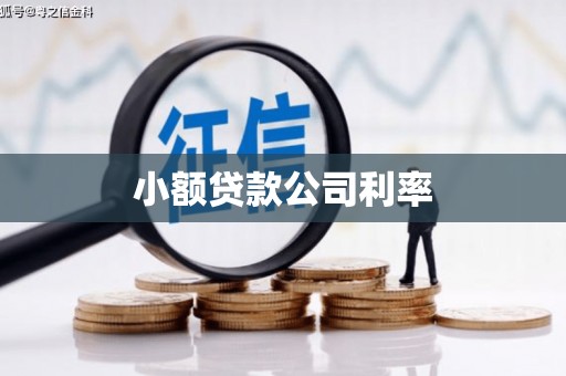 梧州小额贷款公司利率
