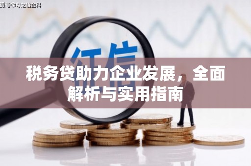 梧州税务贷助力企业发展，全面解析与实用指南