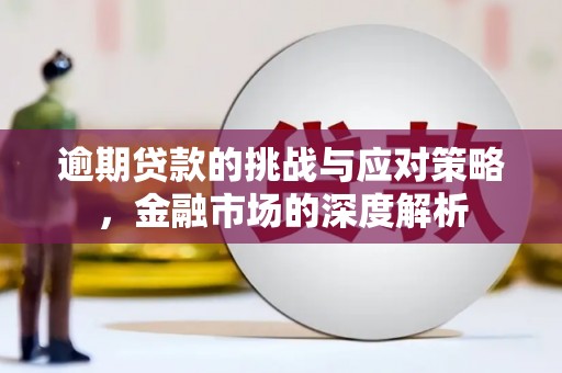 梧州逾期贷款的挑战与应对策略，金融市场的深度解析