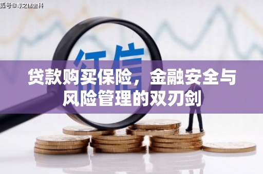 梧州贷款购买保险，金融安全与风险管理的双刃剑