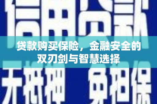 梧州贷款购买保险，金融安全的双刃剑与智慧选择