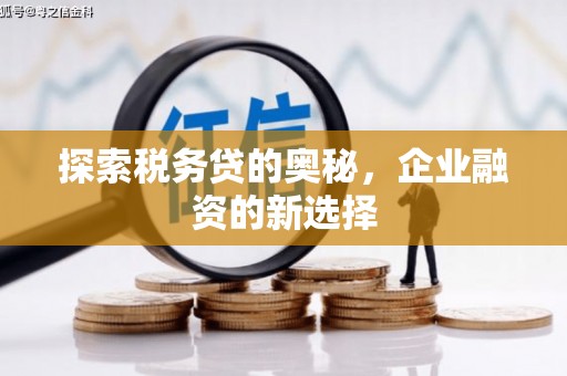 梧州探索税务贷的奥秘，企业融资的新选择
