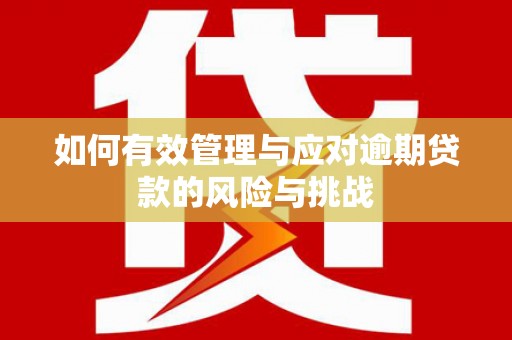 梧州如何有效管理与应对逾期贷款的风险与挑战