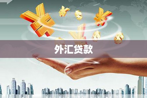 梧州外汇贷款