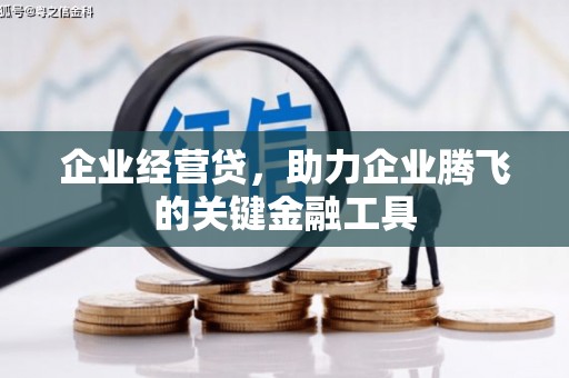 梧州企业经营贷，助力企业腾飞的关键金融工具