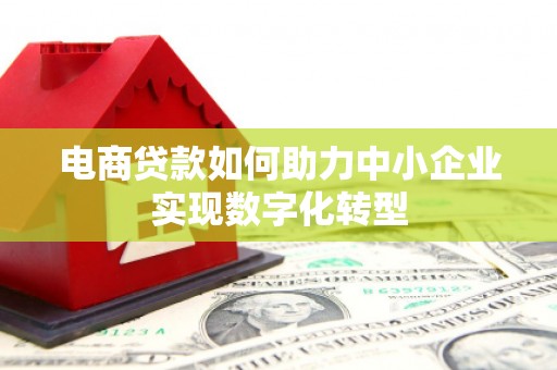 梧州电商贷款如何助力中小企业实现数字化转型