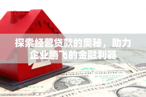 梧州探索经营贷款的奥秘，助力企业腾飞的金融利器