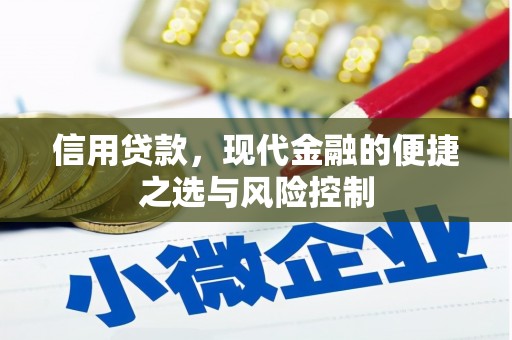 梧州信用贷款，现代金融的便捷之选与风险控制