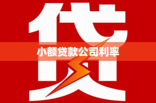 梧州小额贷款公司利率