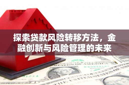 梧州探索贷款风险转移方法，金融创新与风险管理的未来