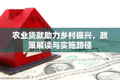 梧州农业贷款助力乡村振兴，政策解读与实施路径