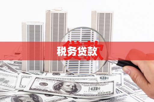 梧州税务贷款