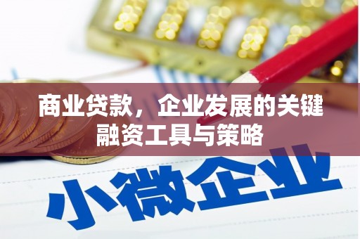 梧州商业贷款，企业发展的关键融资工具与策略