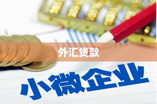 梧州外汇贷款
