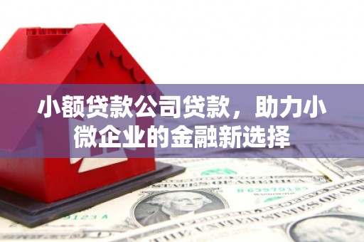 梧州小额贷款公司贷款，助力小微企业的金融新选择
