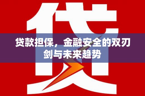 梧州贷款担保，金融安全的双刃剑与未来趋势