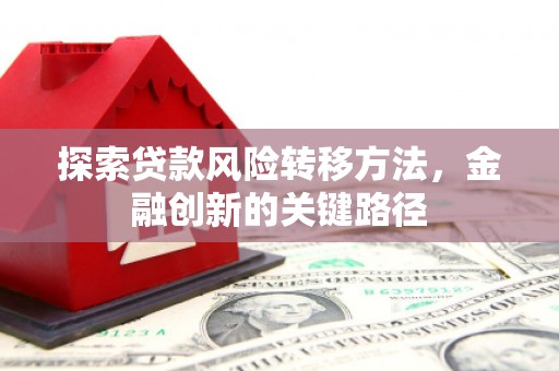 梧州探索贷款风险转移方法，金融创新的关键路径