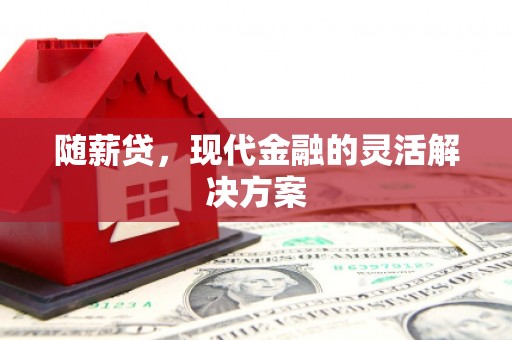 梧州随薪贷，现代金融的灵活解决方案