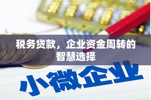 梧州税务贷款，企业资金周转的智慧选择