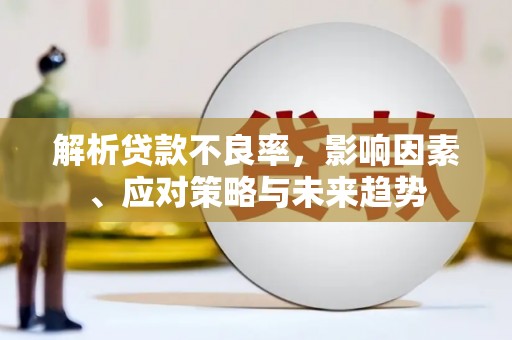 梧州解析贷款不良率，影响因素、应对策略与未来趋势