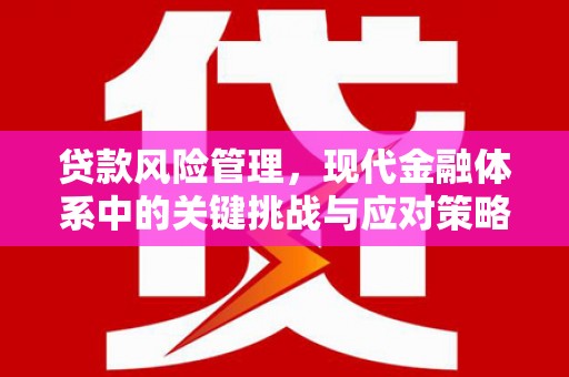 梧州贷款风险管理，现代金融体系中的关键挑战与应对策略