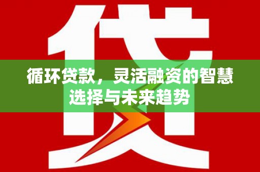 梧州循环贷款，灵活融资的智慧选择与未来趋势