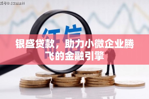 梧州银盛贷款，助力小微企业腾飞的金融引擎