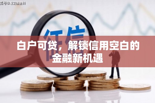 梧州白户可贷，解锁信用空白的金融新机遇