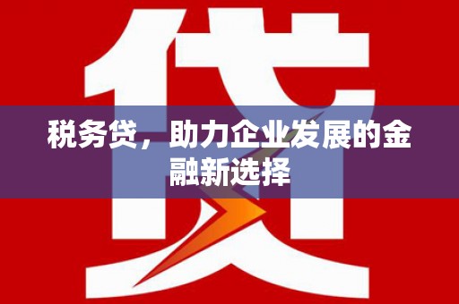 梧州税务贷，助力企业发展的金融新选择