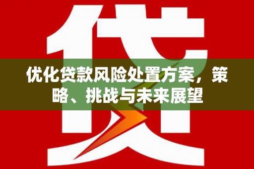 梧州优化贷款风险处置方案，策略、挑战与未来展望