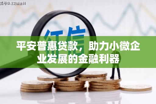梧州平安普惠贷款，助力小微企业发展的金融利器