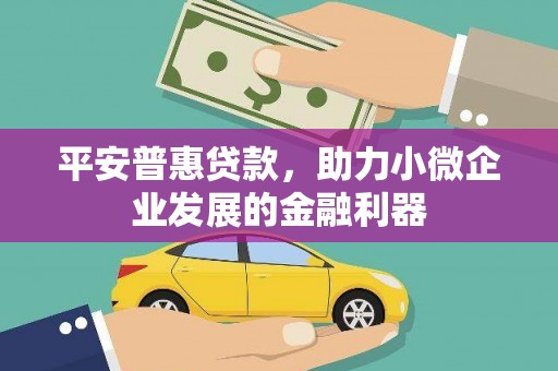 梧州平安普惠贷款，助力小微企业发展的金融利器