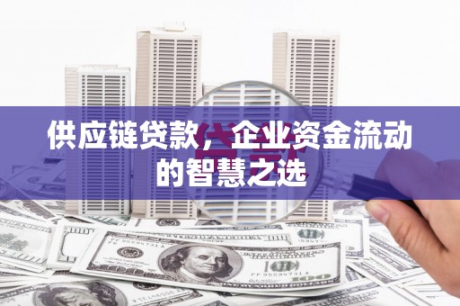 梧州供应链贷款，企业资金流动的智慧之选
