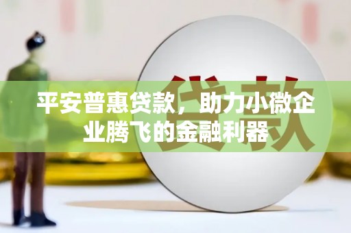 梧州平安普惠贷款，助力小微企业腾飞的金融利器