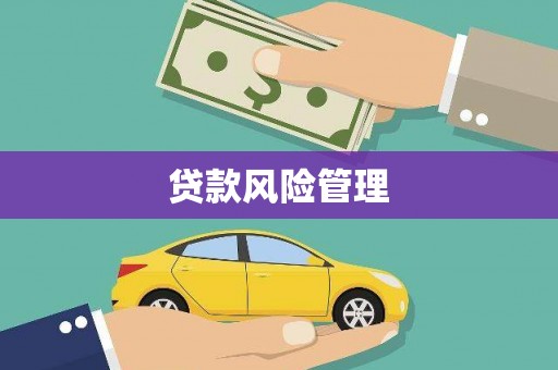 梧州贷款风险管理