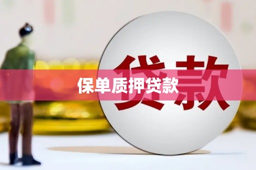 梧州保单质押贷款
